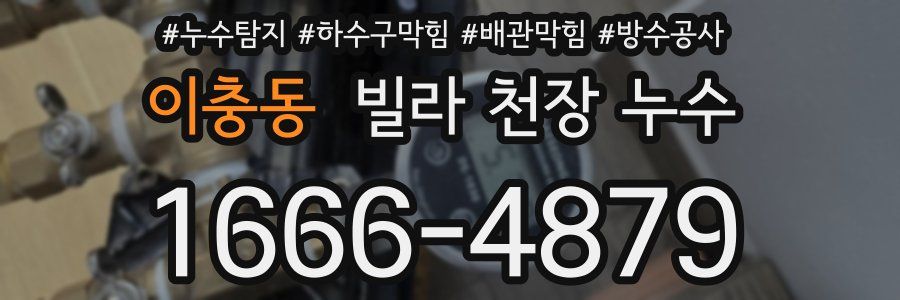 이충동 빌라 천장 누수