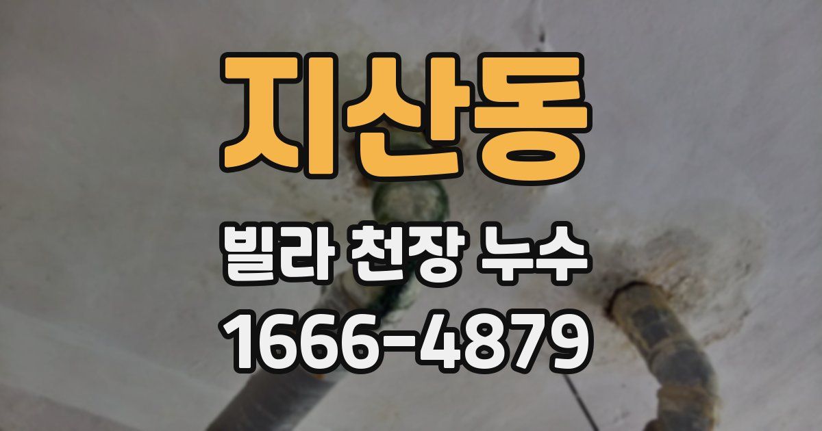 지산동 빌라 천장 누수