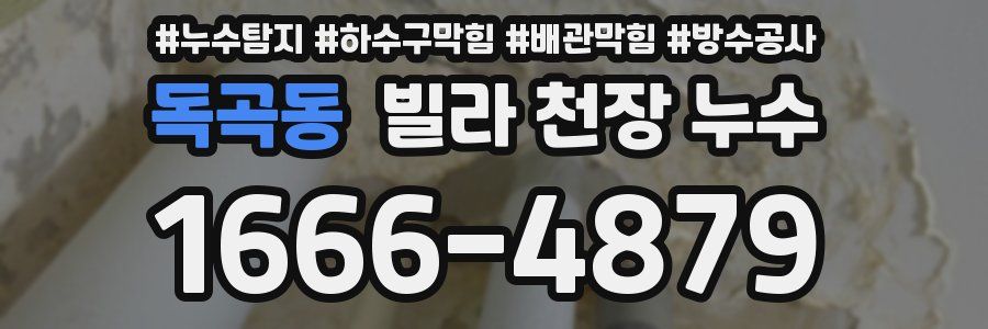 독곡동 빌라 천장 누수
