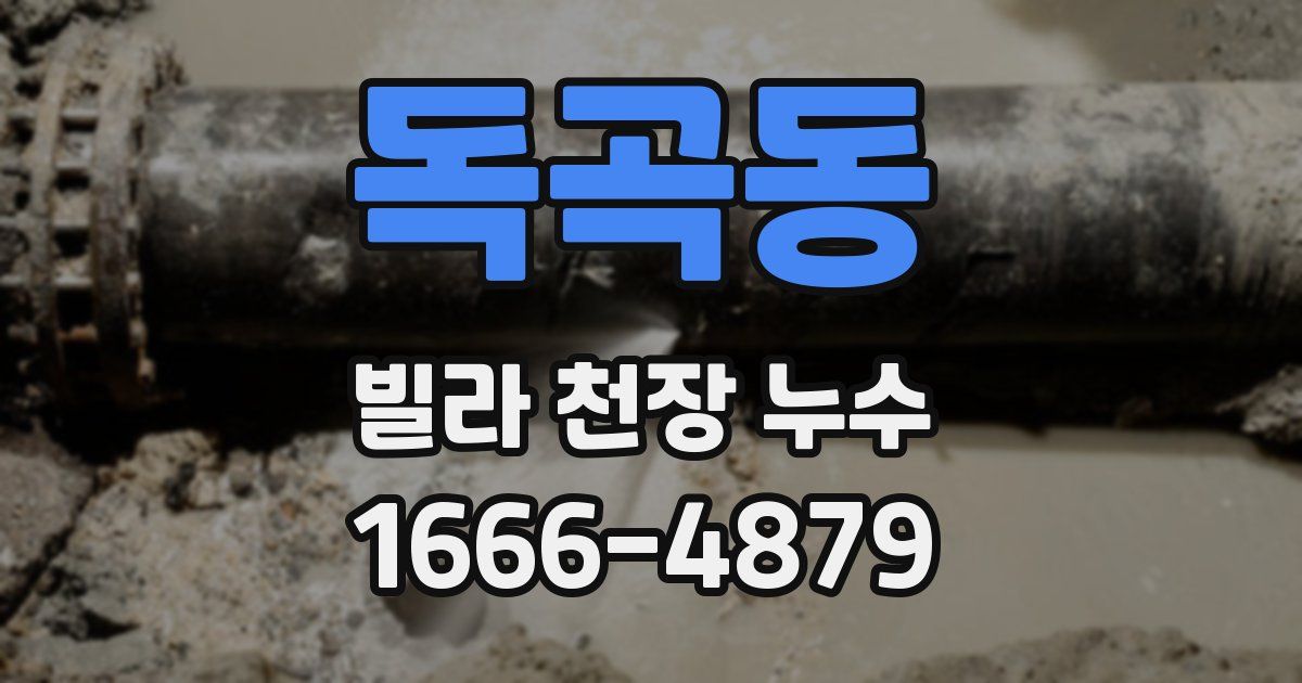 독곡동 빌라 천장 누수