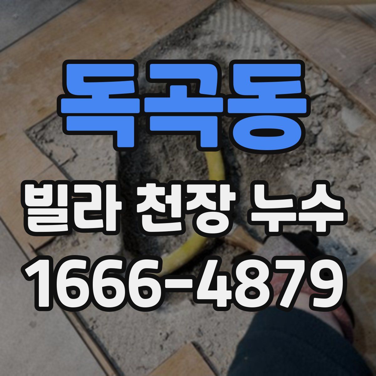 독곡동 빌라 천장 누수