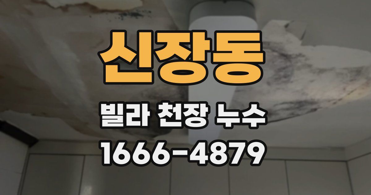 신장동 빌라 천장 누수
