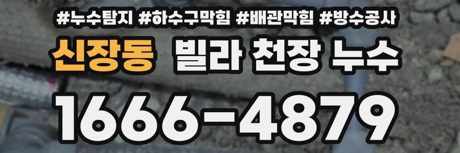 신장동 빌라 천장 누수