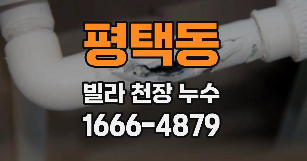 평택동 빌라 천장 누수