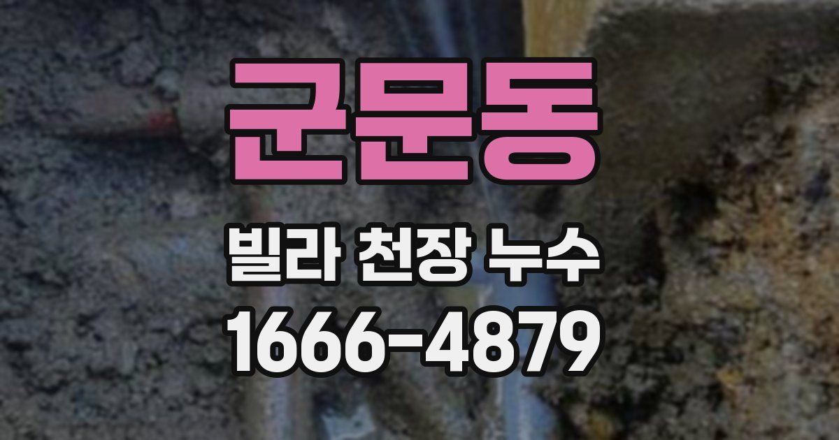 군문동 빌라 천장 누수