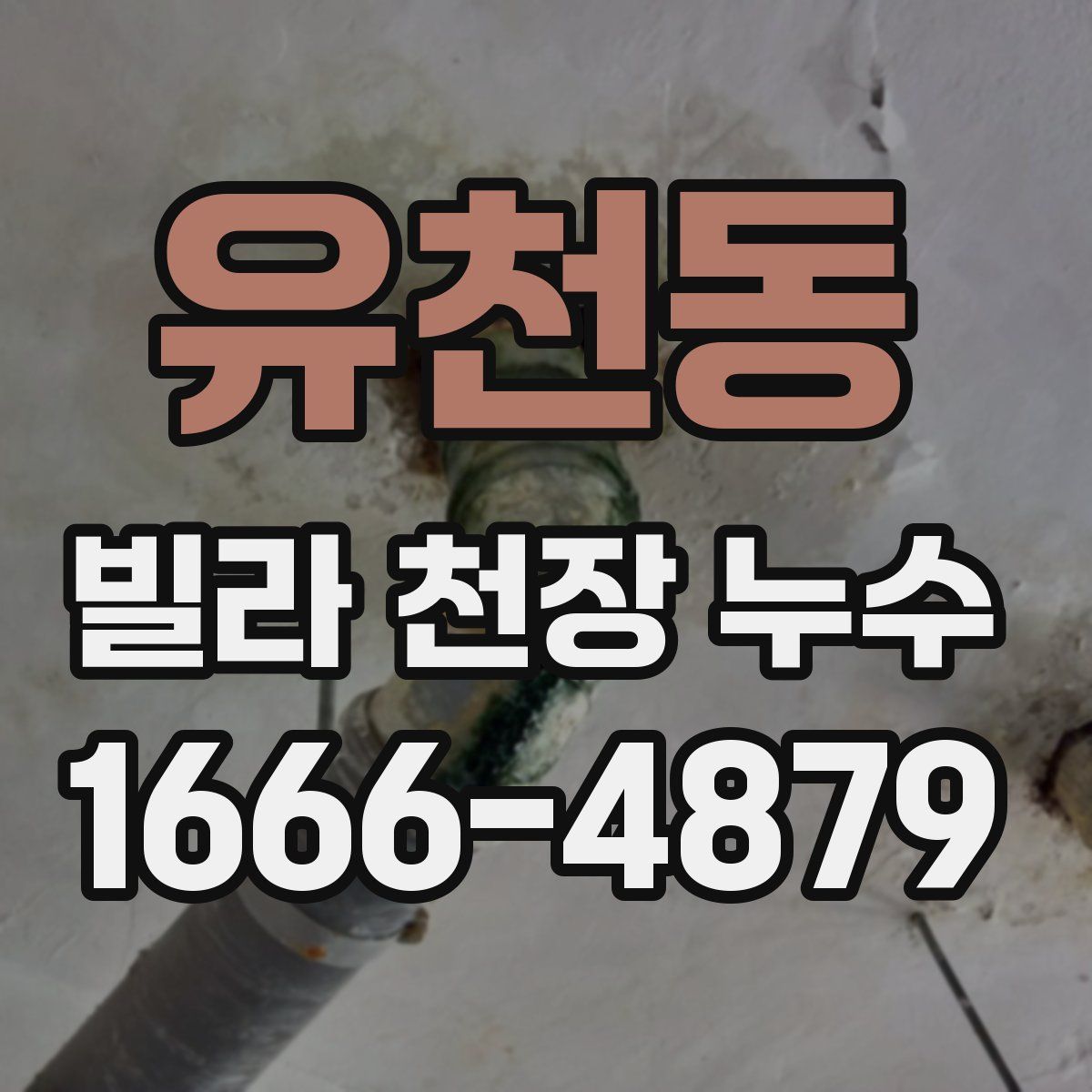 유천동 빌라 천장 누수