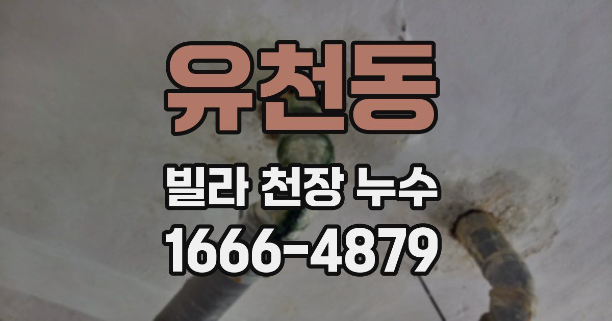 유천동 빌라 천장 누수