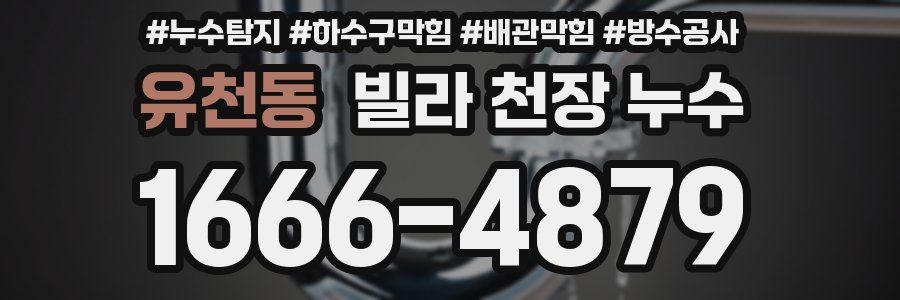 유천동 빌라 천장 누수