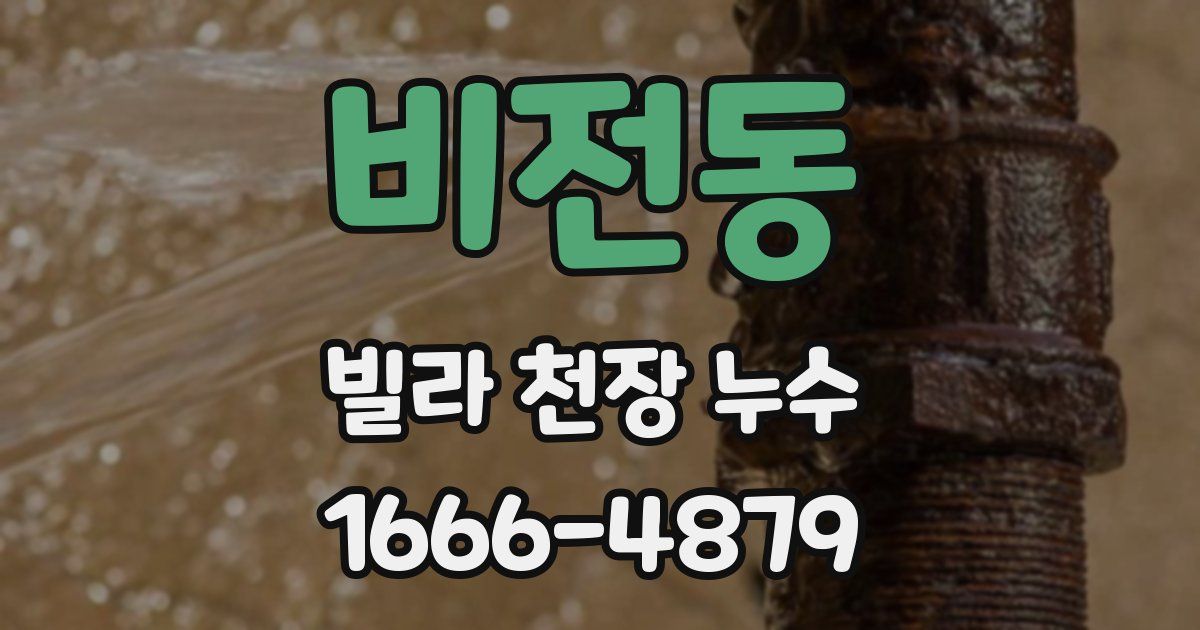 비전동 빌라 천장 누수