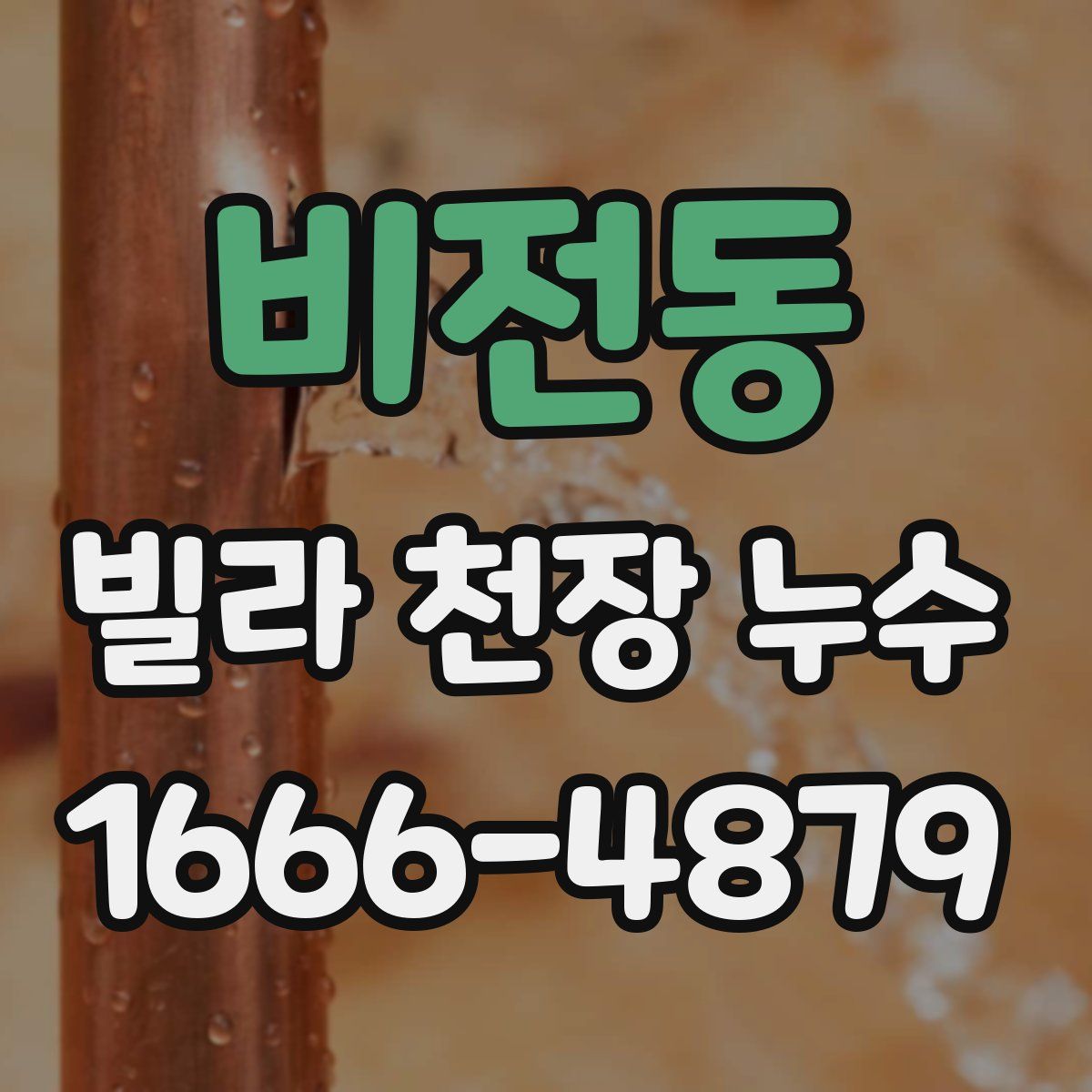 비전동 빌라 천장 누수