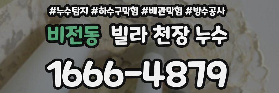 비전동 빌라 천장 누수
