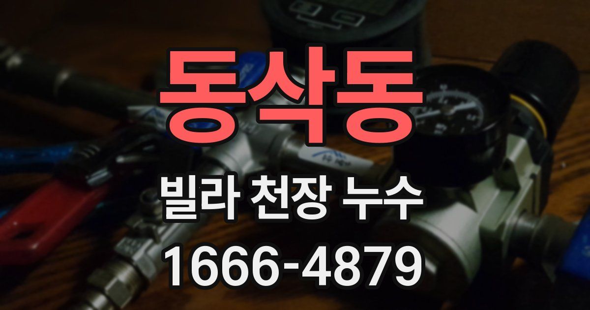 동삭동 빌라 천장 누수