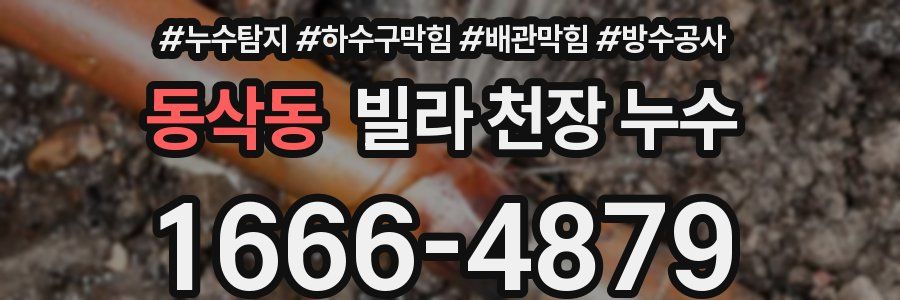 동삭동 빌라 천장 누수