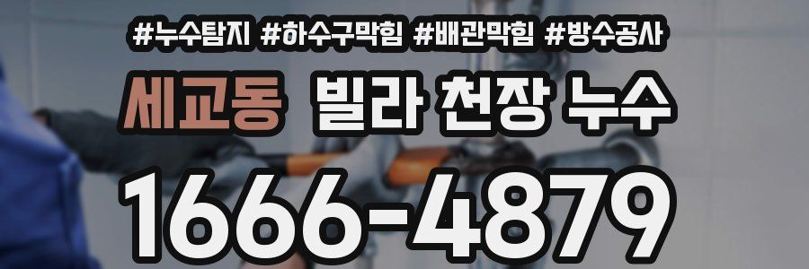 세교동 빌라 천장 누수