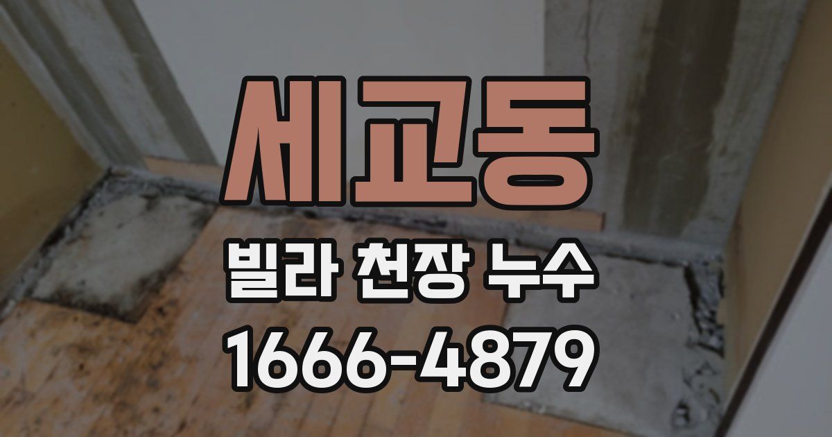 세교동 빌라 천장 누수