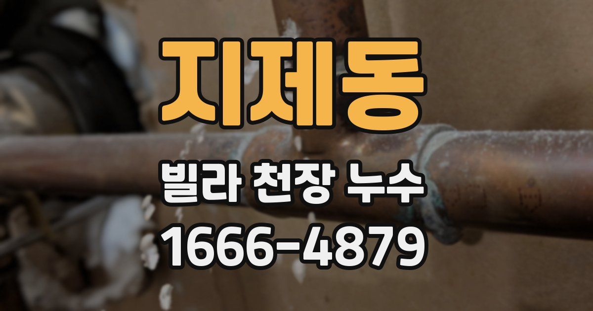 지제동 빌라 천장 누수