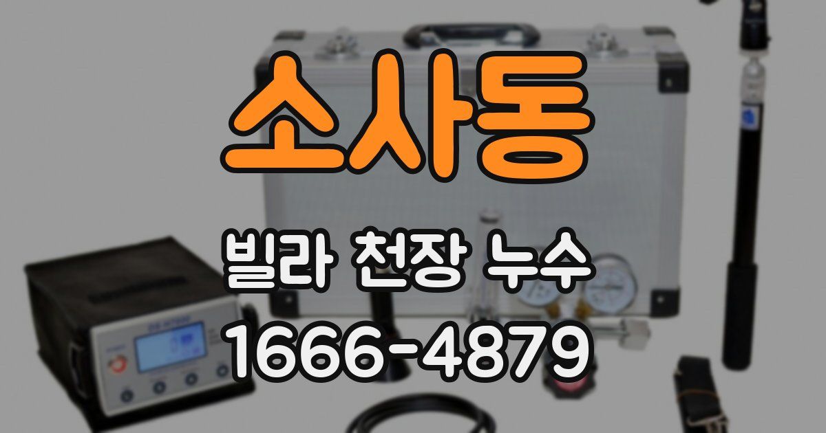 소사동 빌라 천장 누수