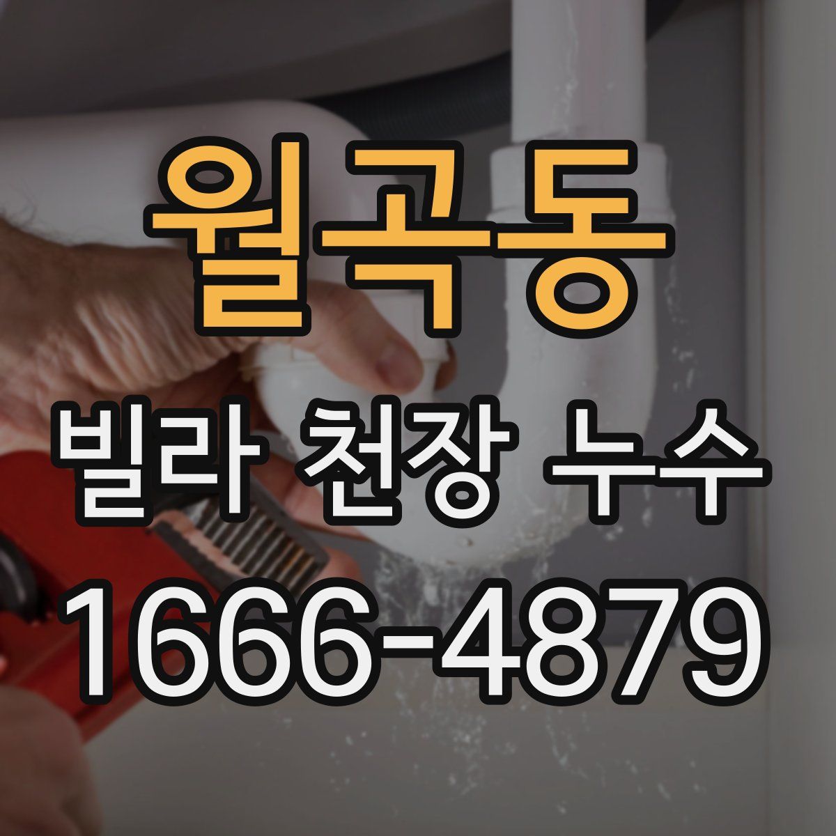 월곡동 빌라 천장 누수