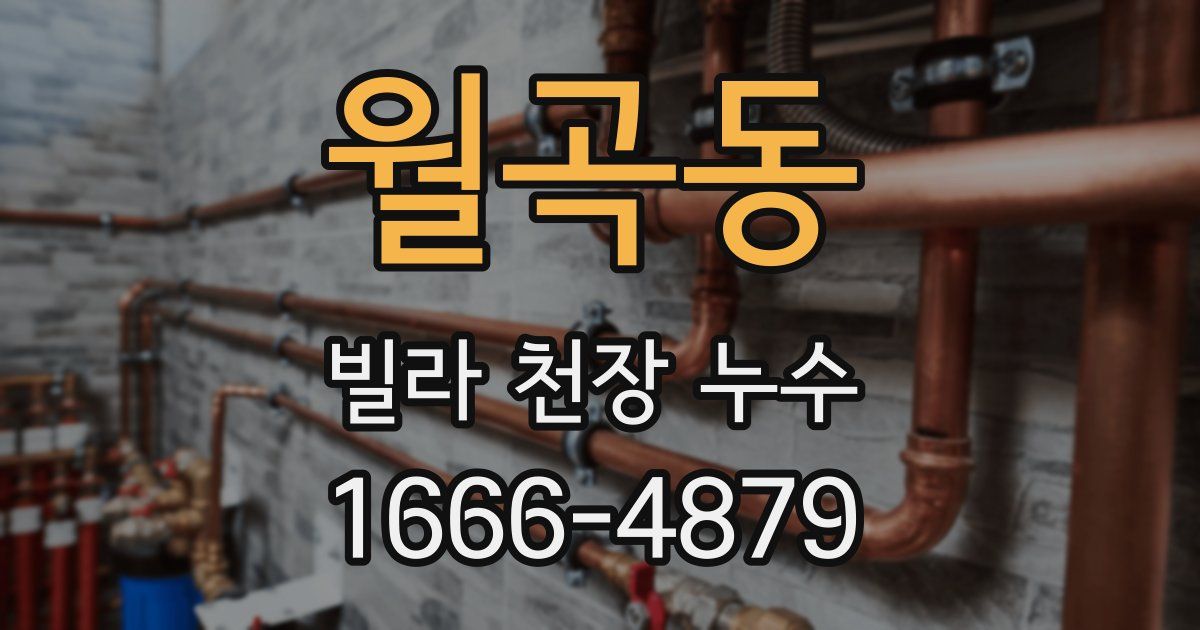 월곡동 빌라 천장 누수
