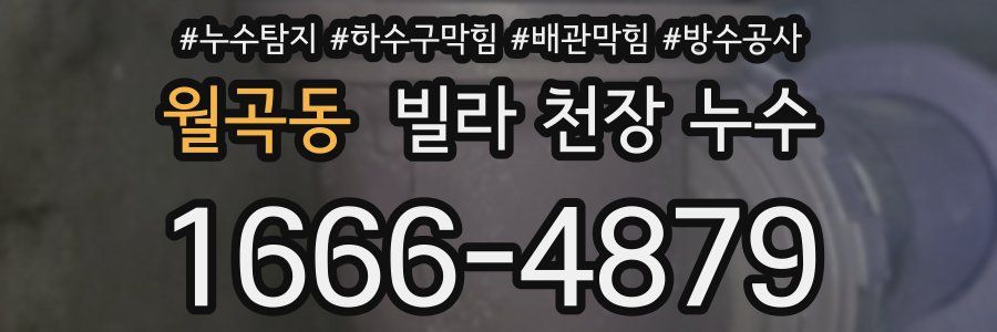 월곡동 빌라 천장 누수