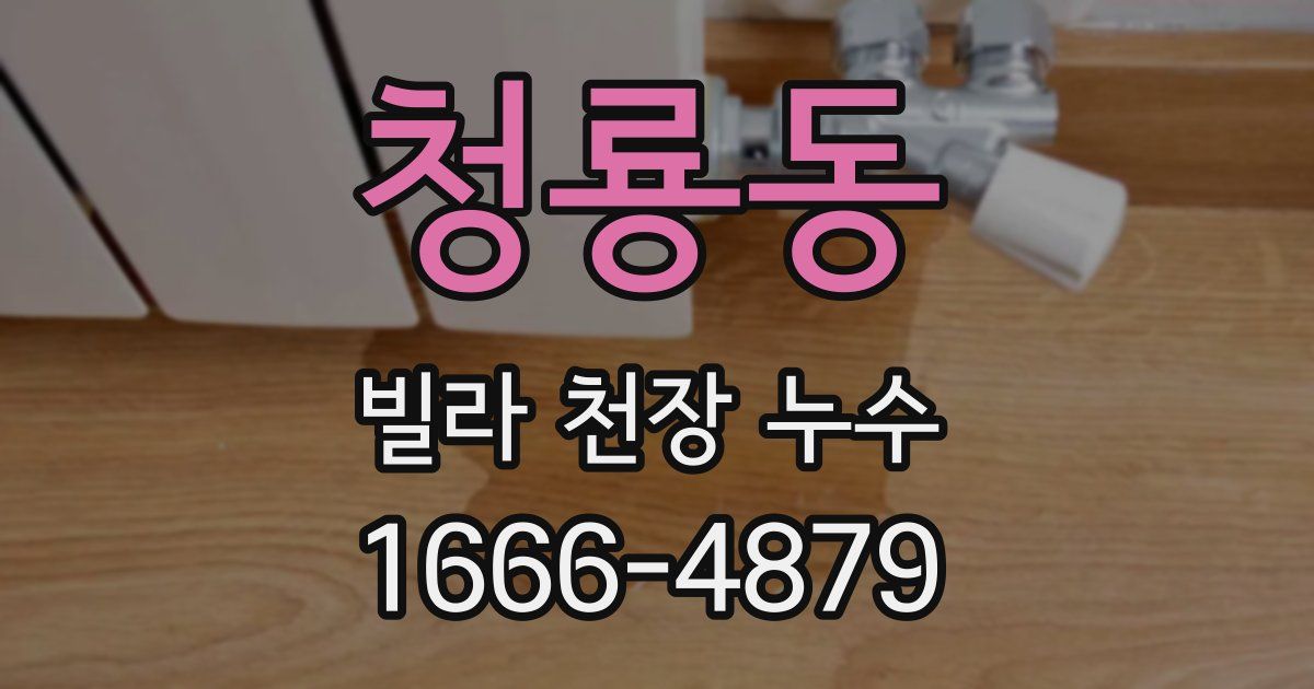 청룡동 빌라 천장 누수