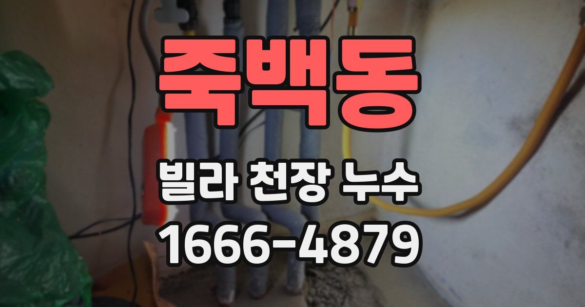 죽백동 빌라 천장 누수