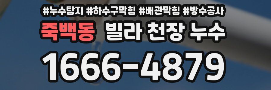 죽백동 빌라 천장 누수