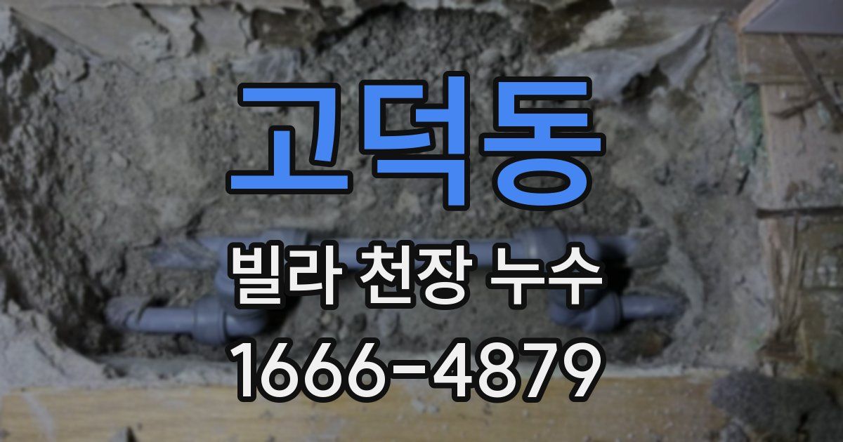 고덕동 빌라 천장 누수