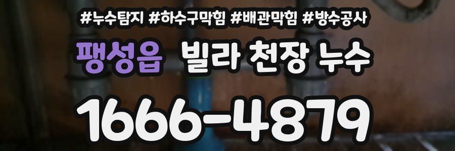 팽성읍 빌라 천장 누수