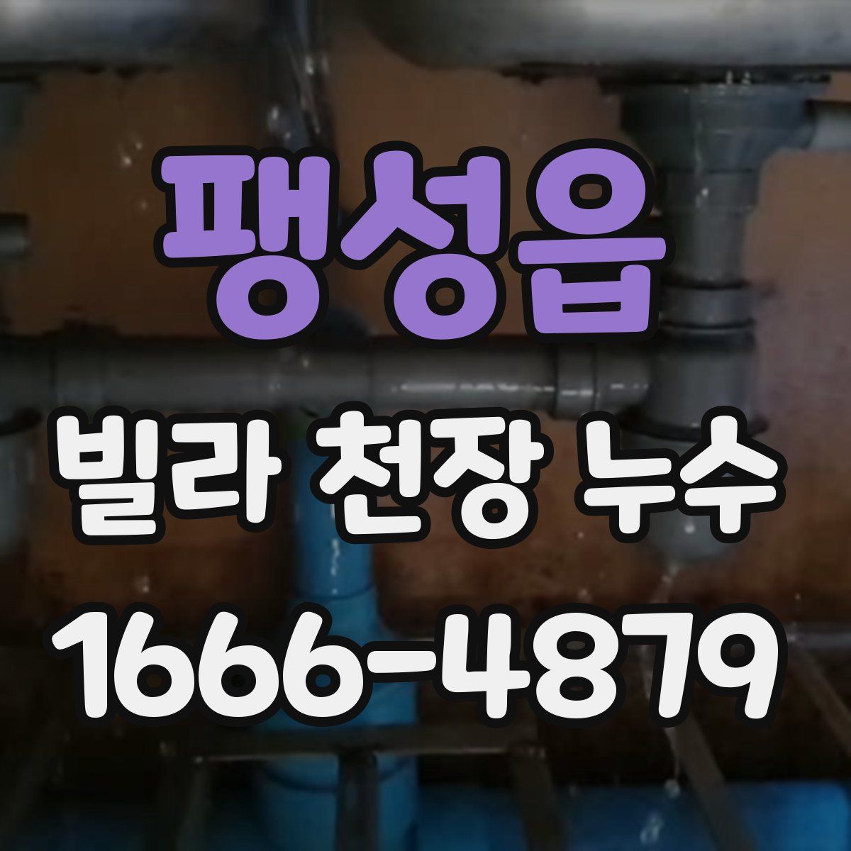 팽성읍 빌라 천장 누수