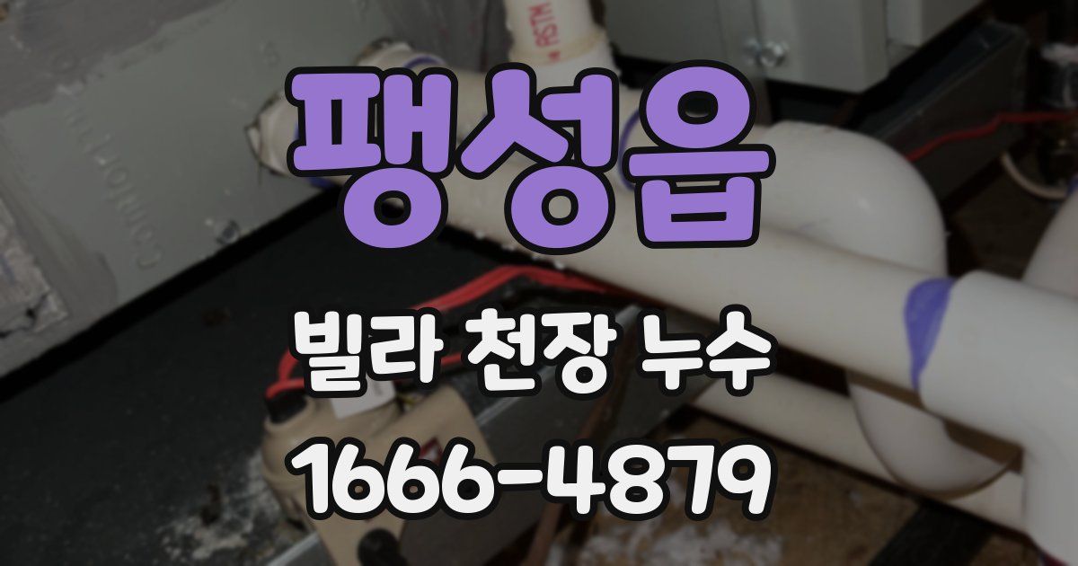 팽성읍 빌라 천장 누수