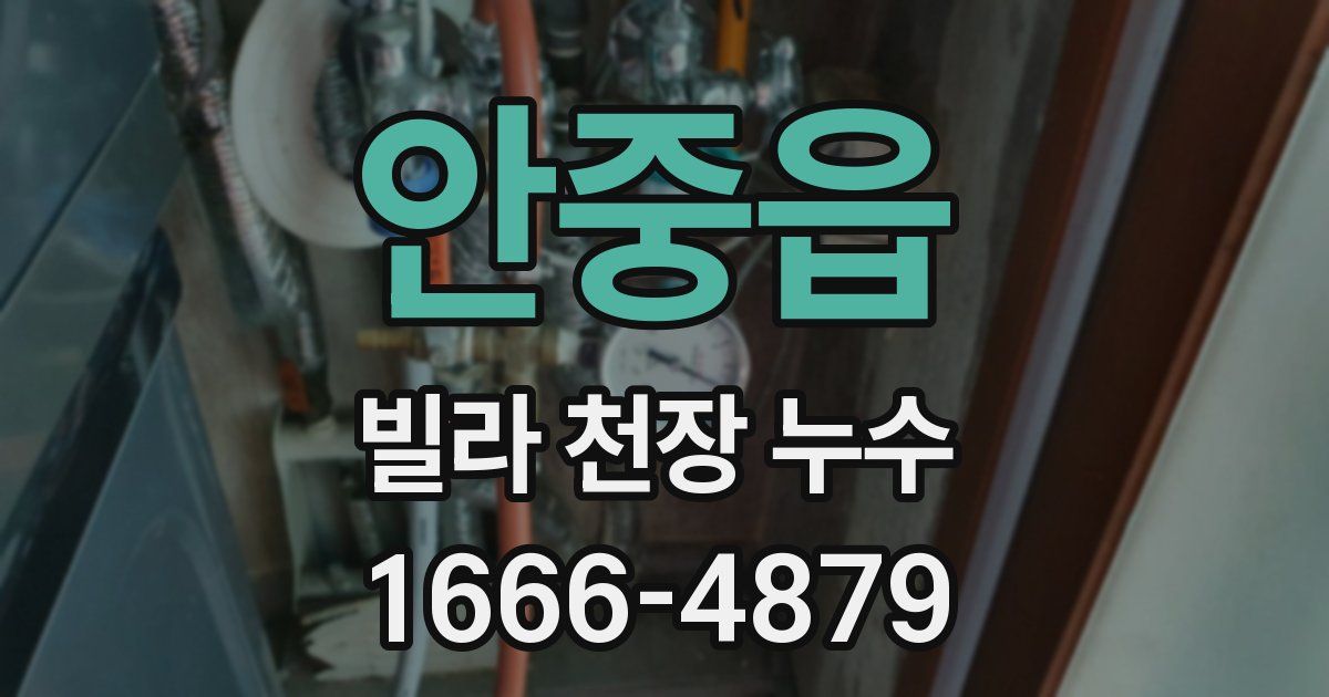 안중읍 빌라 천장 누수