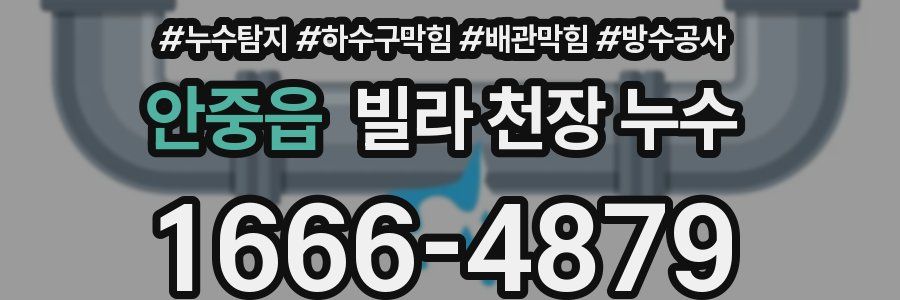 안중읍 빌라 천장 누수