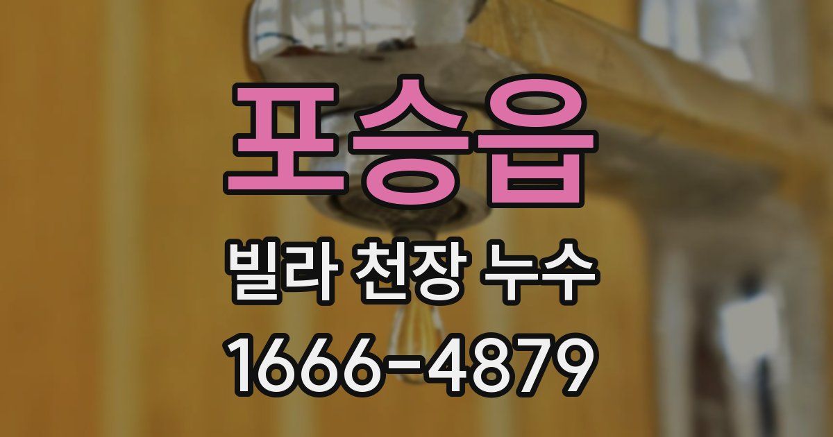 포승읍 빌라 천장 누수