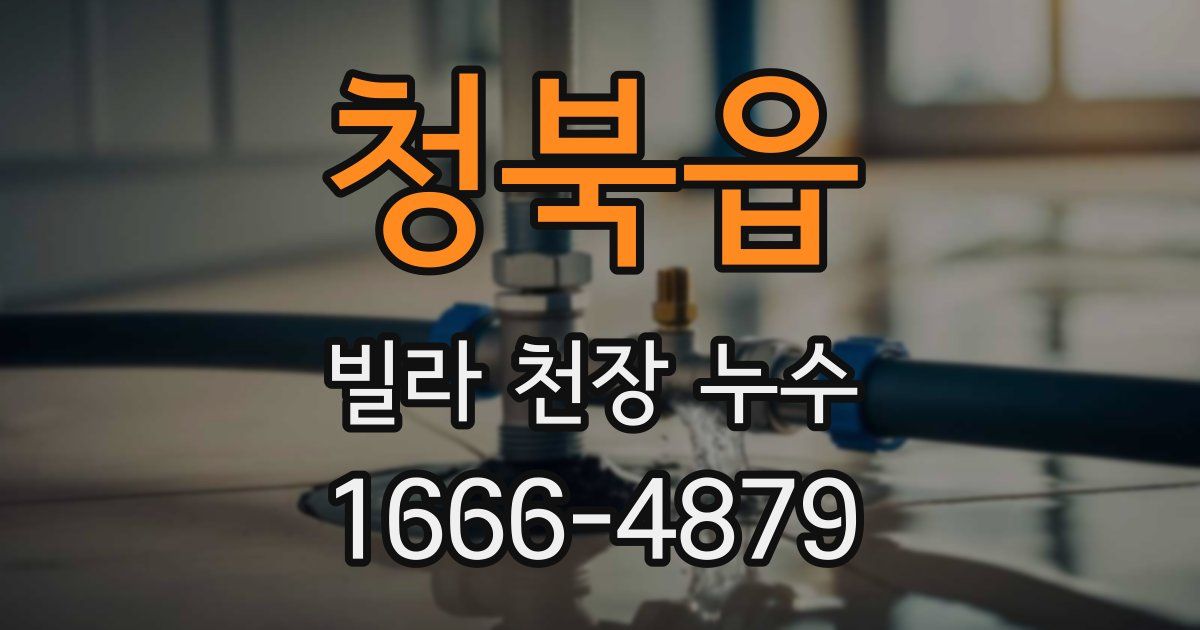 청북읍 빌라 천장 누수