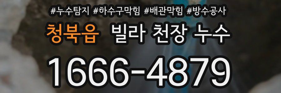 청북읍 빌라 천장 누수
