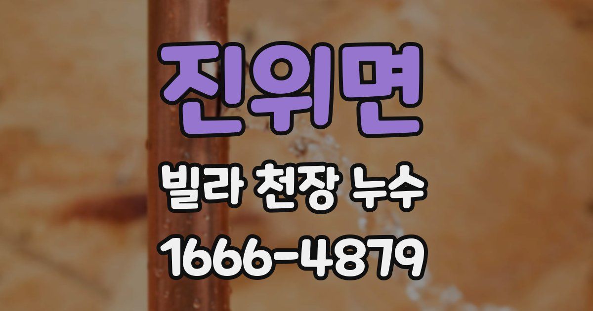 진위면 빌라 천장 누수