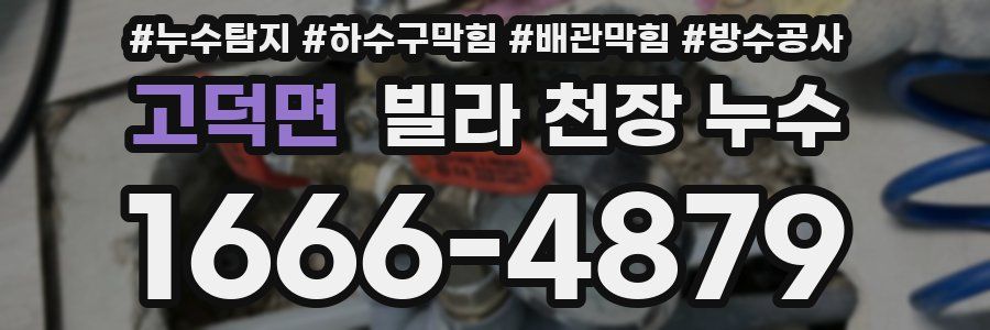 고덕면 빌라 천장 누수
