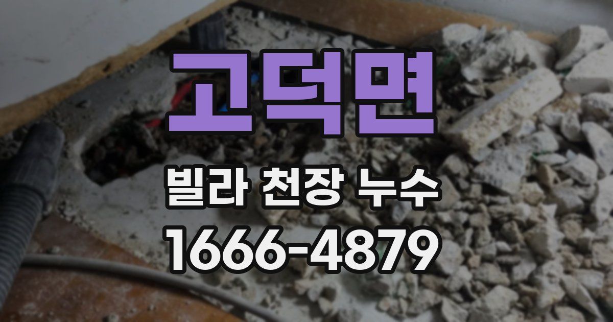 고덕면 빌라 천장 누수