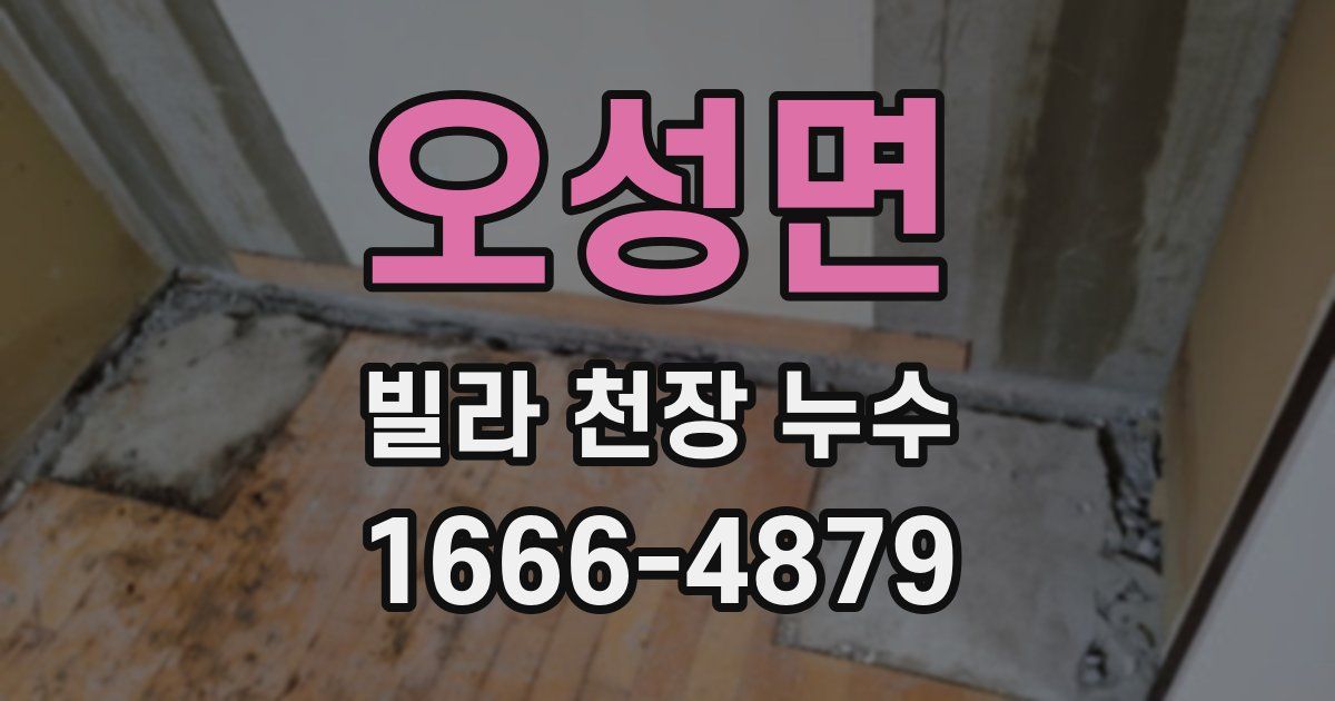 오성면 빌라 천장 누수