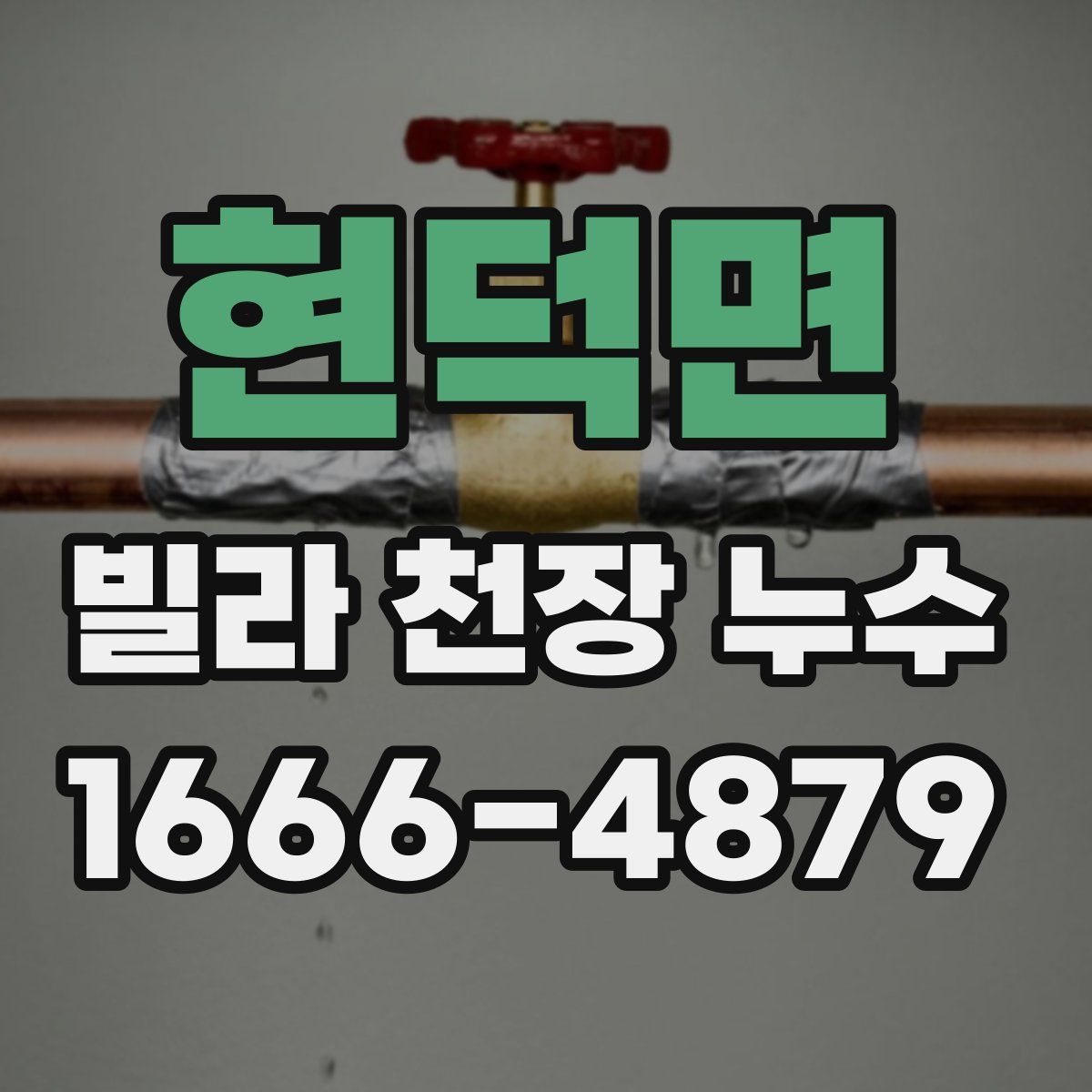 현덕면 빌라 천장 누수