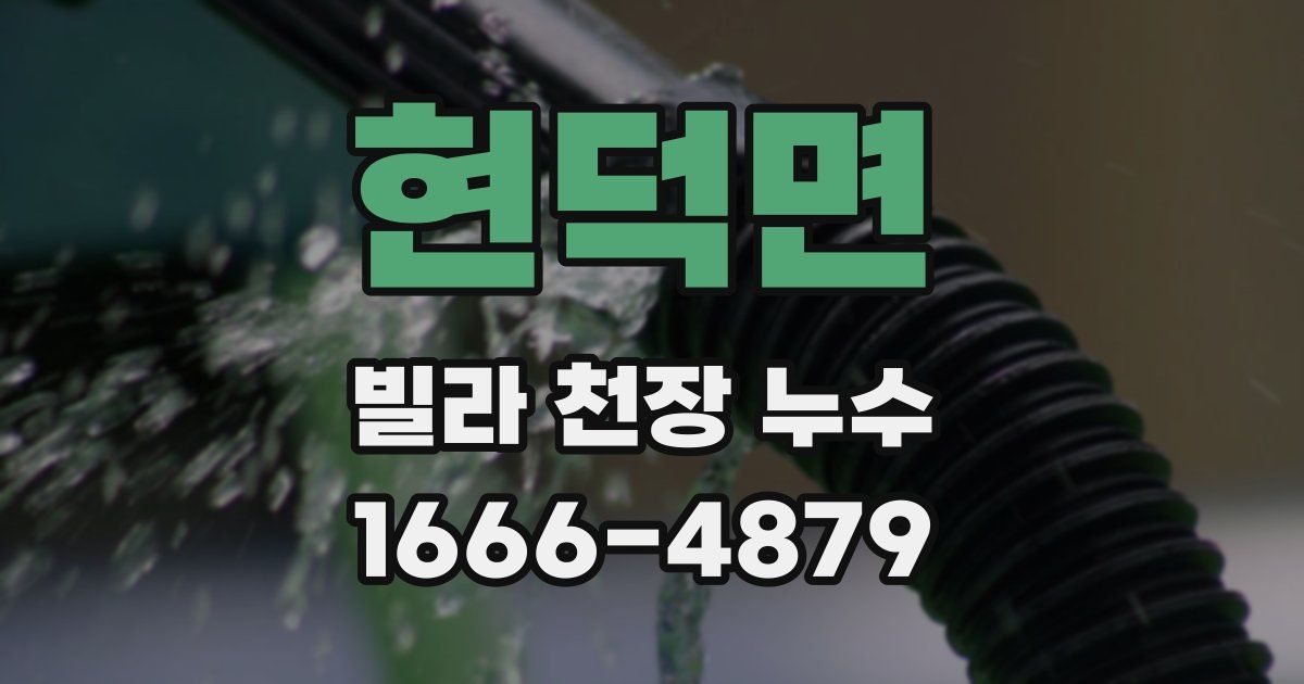 현덕면 빌라 천장 누수