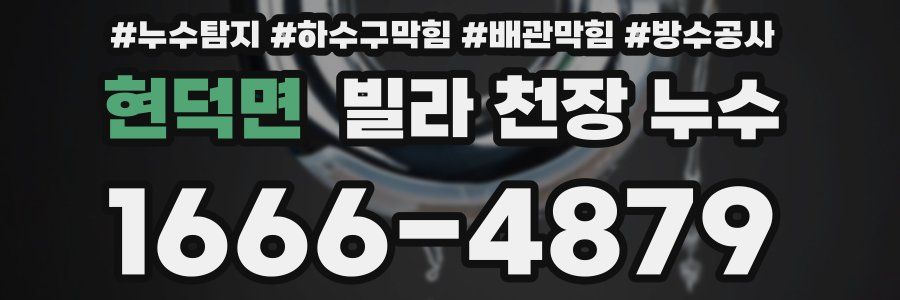 현덕면 빌라 천장 누수