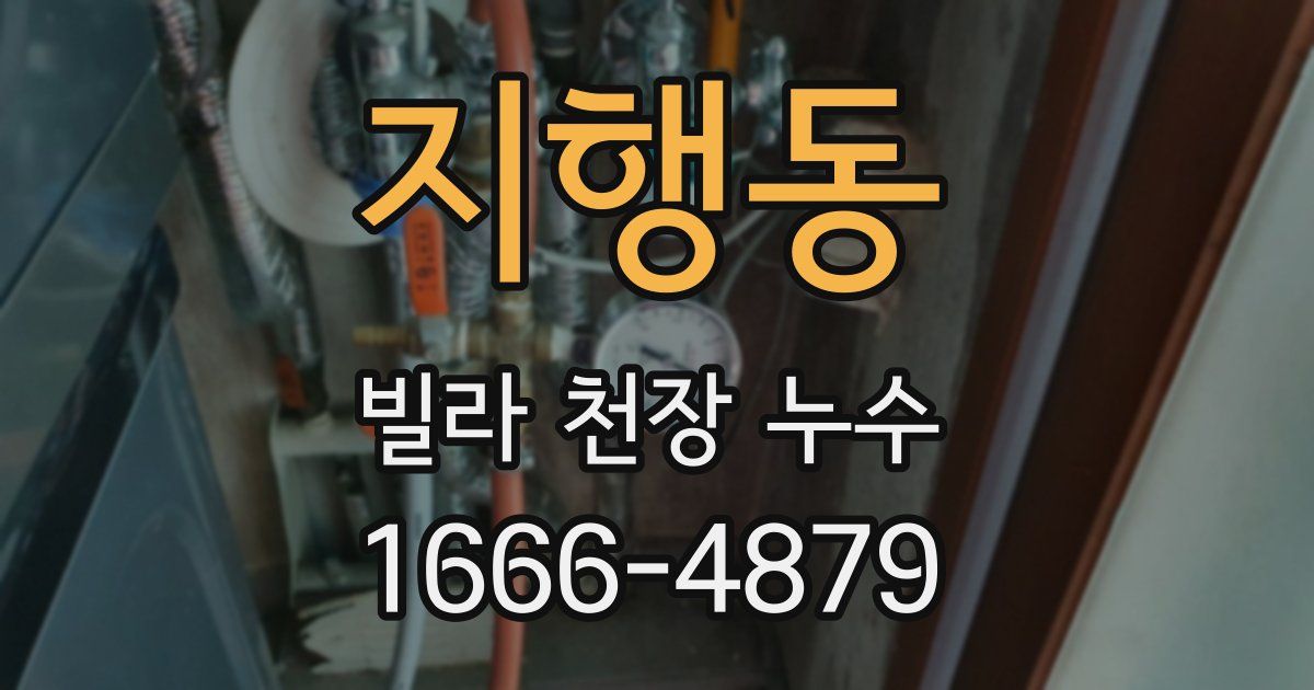 지행동 빌라 천장 누수