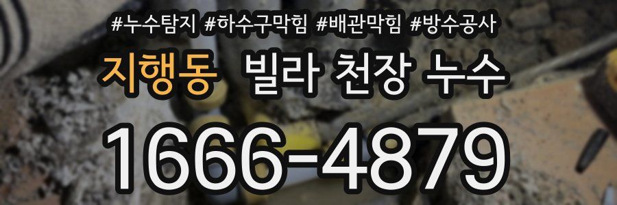 지행동 빌라 천장 누수