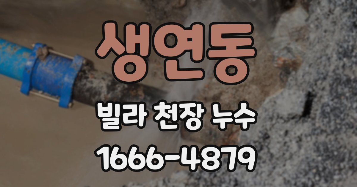 생연동 빌라 천장 누수