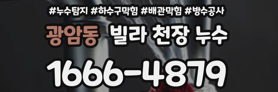광암동 빌라 천장 누수