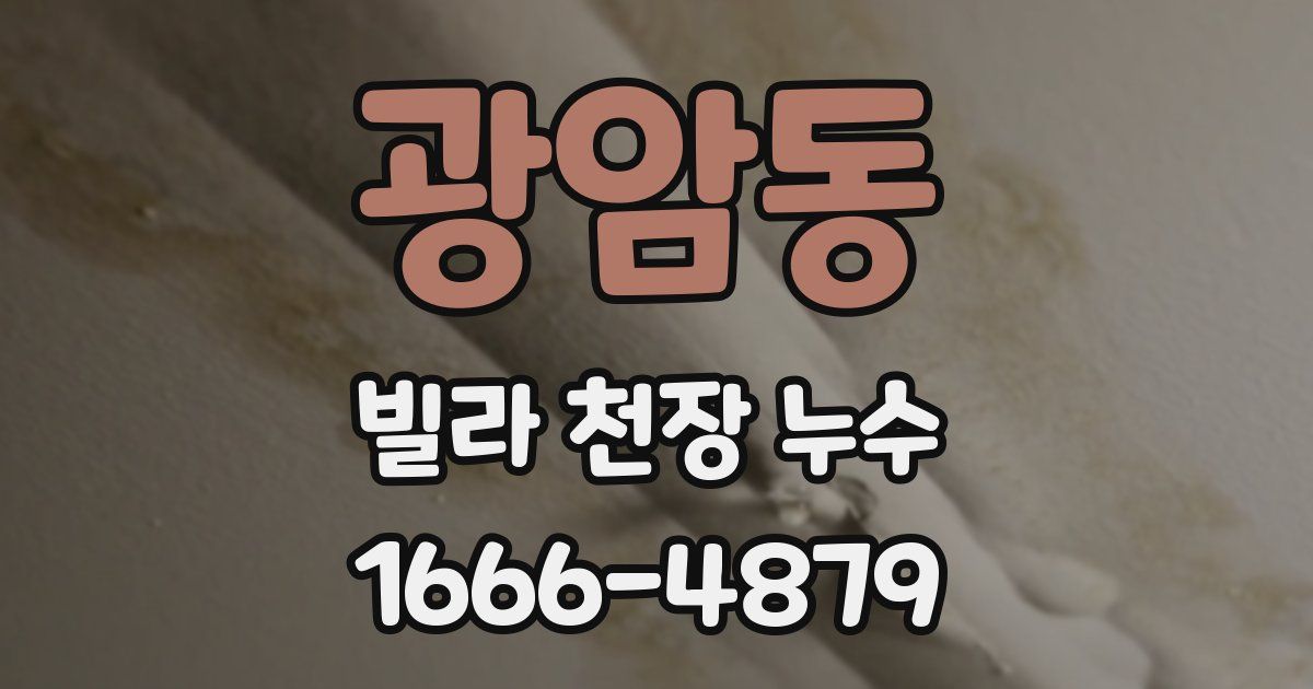 광암동 빌라 천장 누수