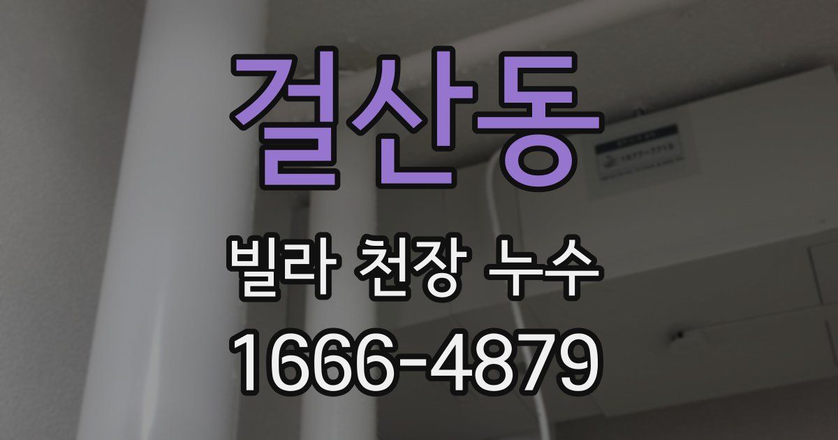 걸산동 빌라 천장 누수