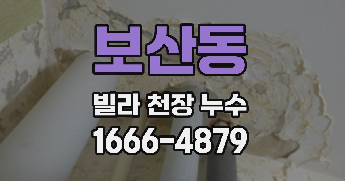 보산동 빌라 천장 누수